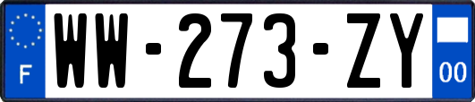 WW-273-ZY