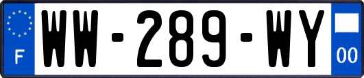 WW-289-WY