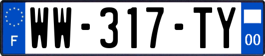 WW-317-TY