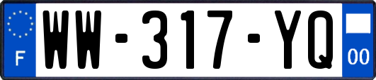 WW-317-YQ