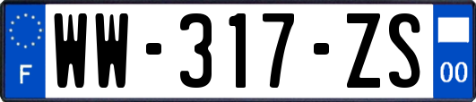 WW-317-ZS