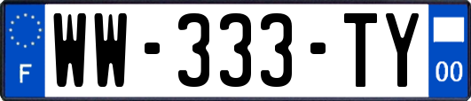 WW-333-TY