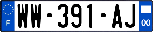 WW-391-AJ