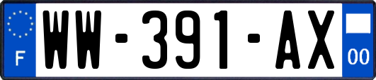 WW-391-AX