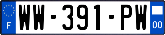 WW-391-PW
