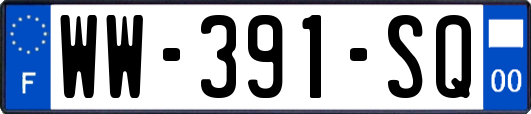 WW-391-SQ