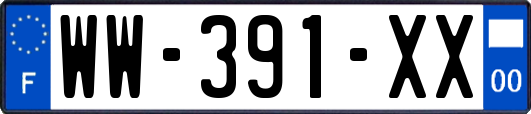 WW-391-XX