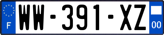 WW-391-XZ