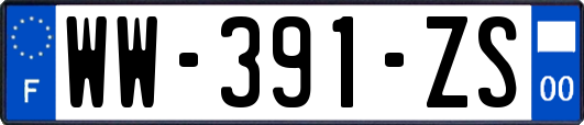 WW-391-ZS