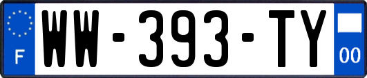 WW-393-TY