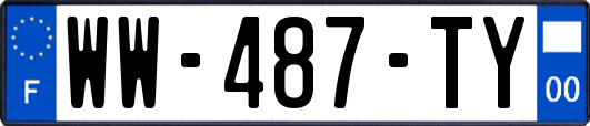 WW-487-TY