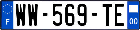 WW-569-TE