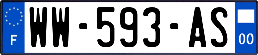 WW-593-AS