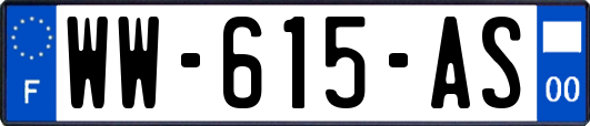 WW-615-AS