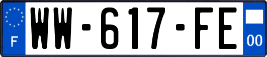 WW-617-FE