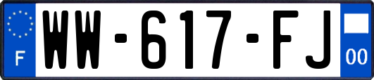 WW-617-FJ