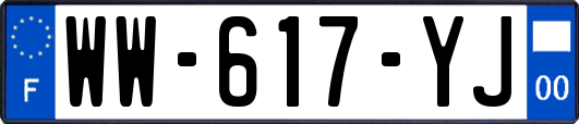 WW-617-YJ