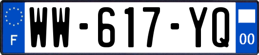 WW-617-YQ