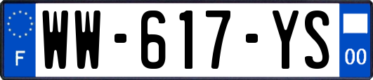 WW-617-YS