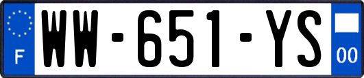 WW-651-YS