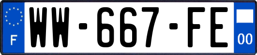 WW-667-FE