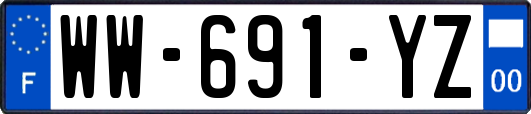 WW-691-YZ