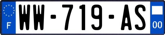 WW-719-AS