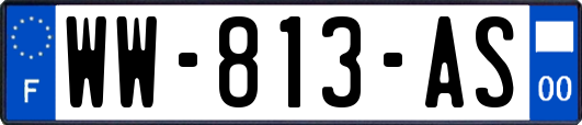 WW-813-AS