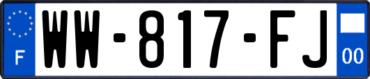 WW-817-FJ