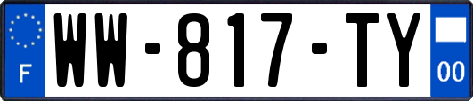 WW-817-TY