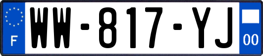 WW-817-YJ