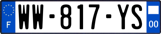 WW-817-YS