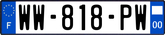 WW-818-PW