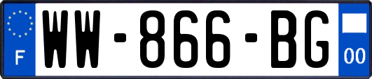 WW-866-BG