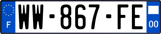 WW-867-FE