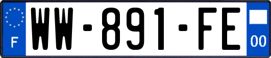 WW-891-FE