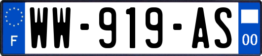 WW-919-AS