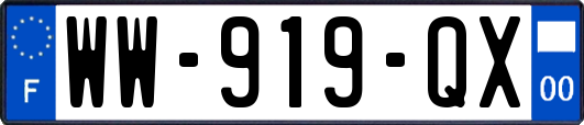 WW-919-QX