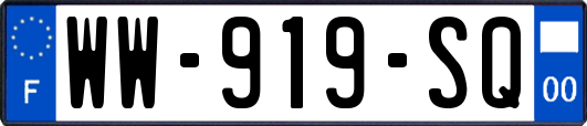 WW-919-SQ