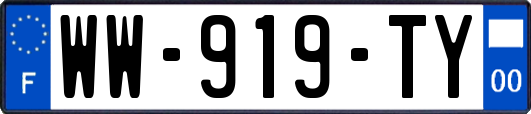 WW-919-TY