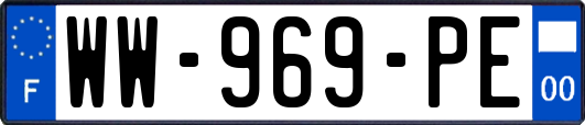WW-969-PE