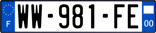 WW-981-FE