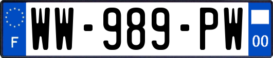WW-989-PW
