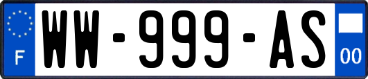 WW-999-AS