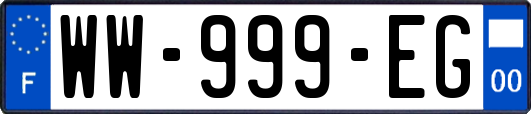WW-999-EG