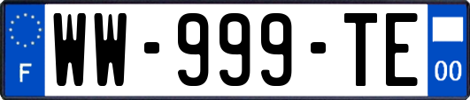 WW-999-TE